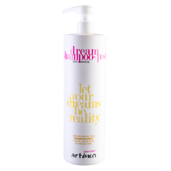 Dream Shampoo Post